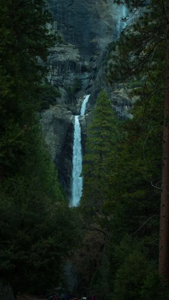 A waterfall in the forest